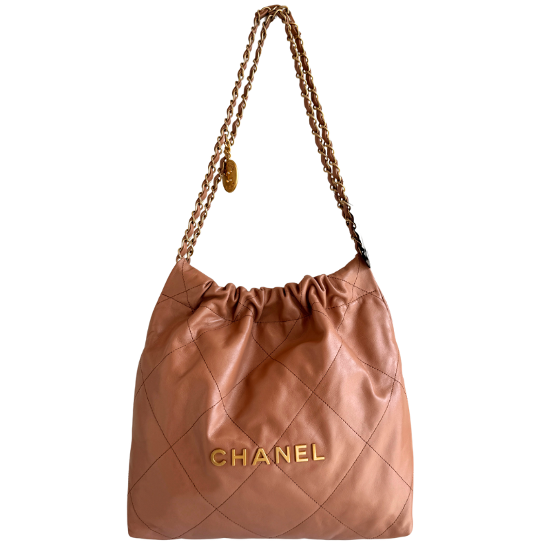 Chanel Shiny Calfskin Quilted Small Chanel 22