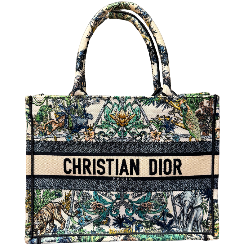 Christian Dior Embroidered Etoile De Voyage Medium Book Tote