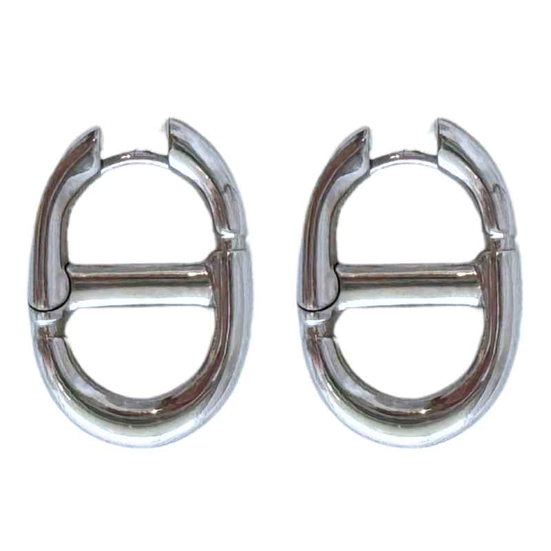 Christian Dior 30 Montaigne Earrings