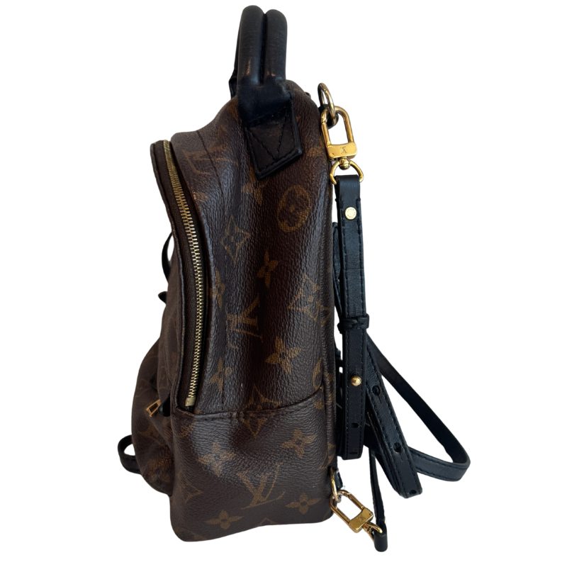 Louis Vuitton Mini Palm Springs Backpack