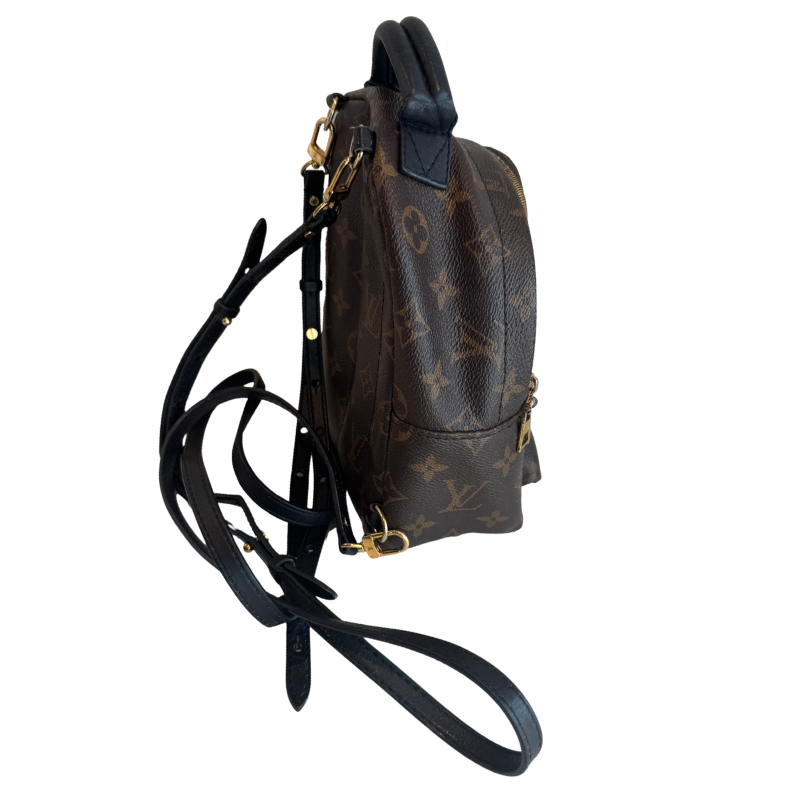 Louis Vuitton Mini Palm Springs Backpack