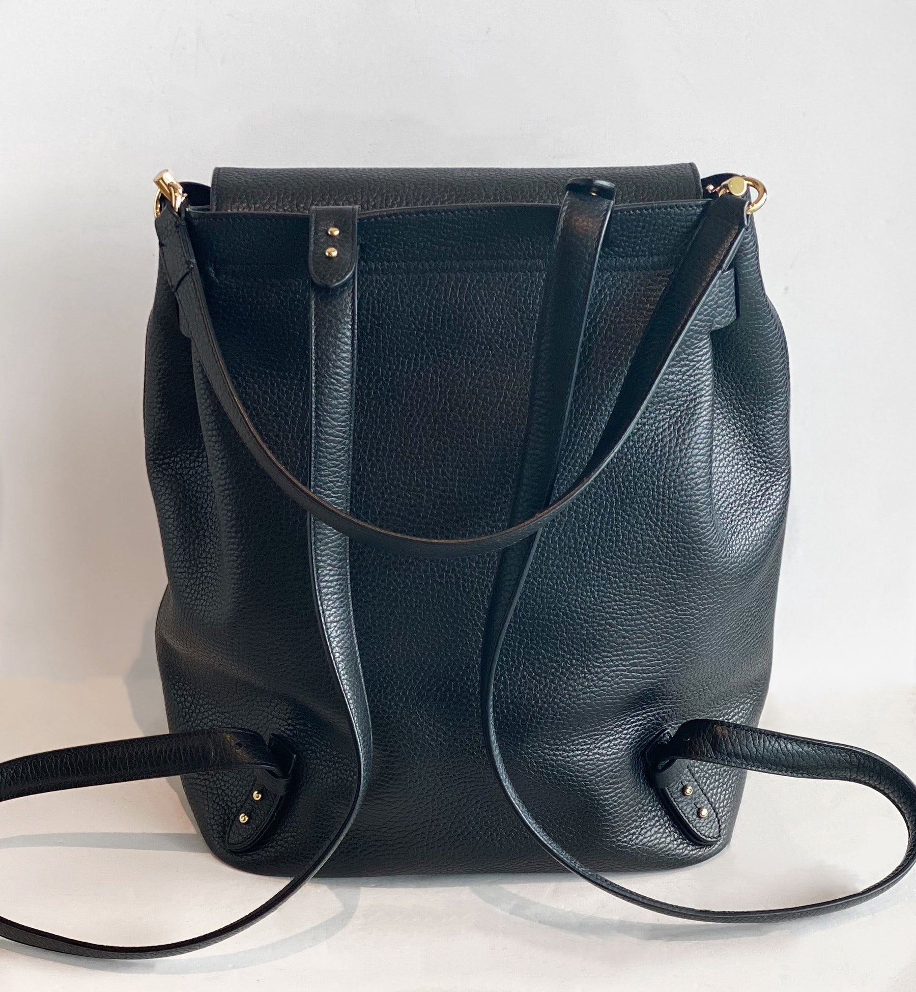 Cuyana Leather Backpack back