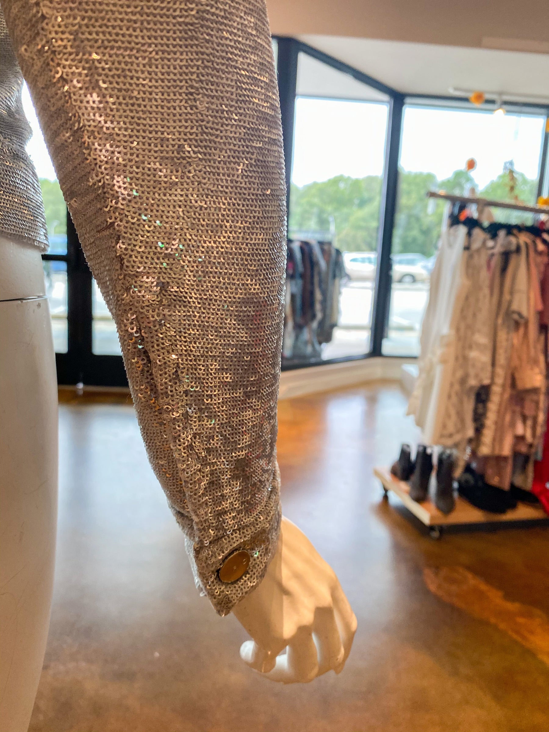 IRO Dalome Sequin Jacket Silver