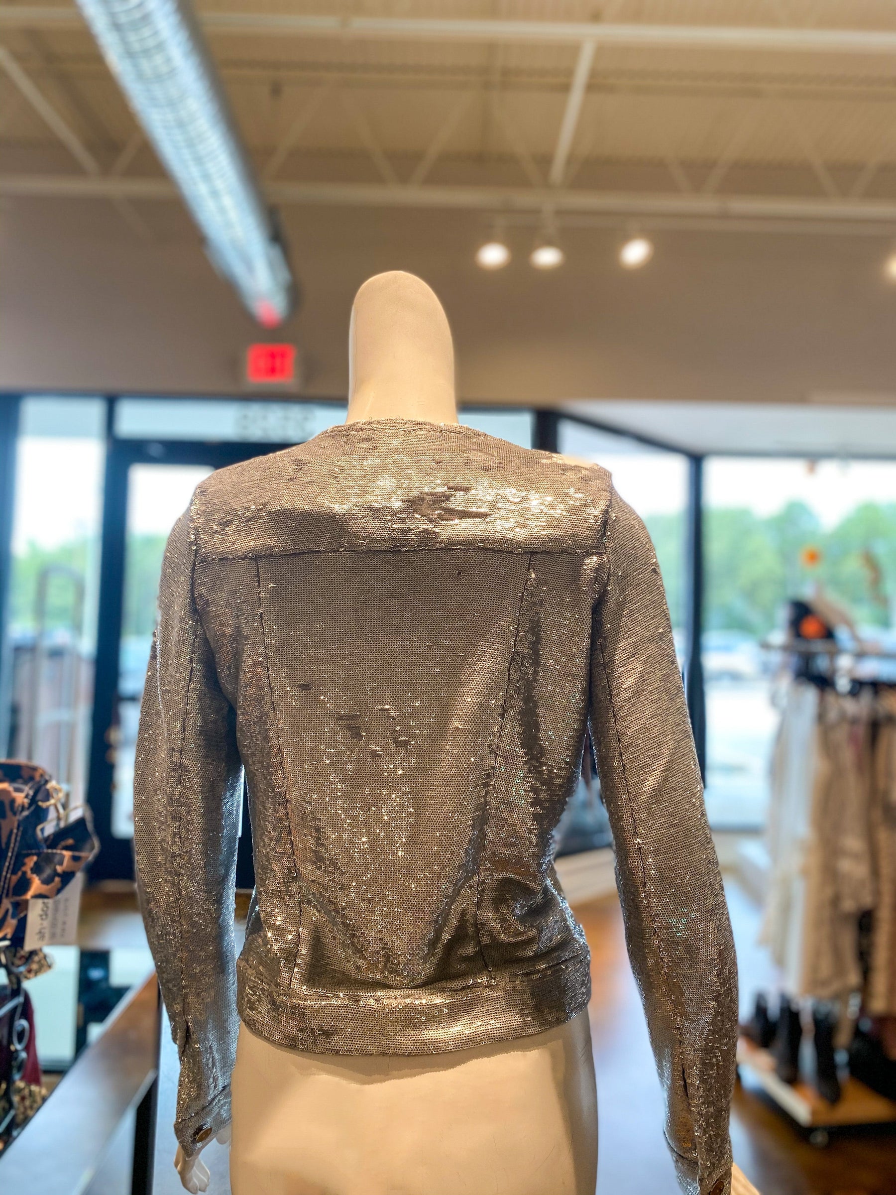 IRO Dalome Sequin Jacket Silver