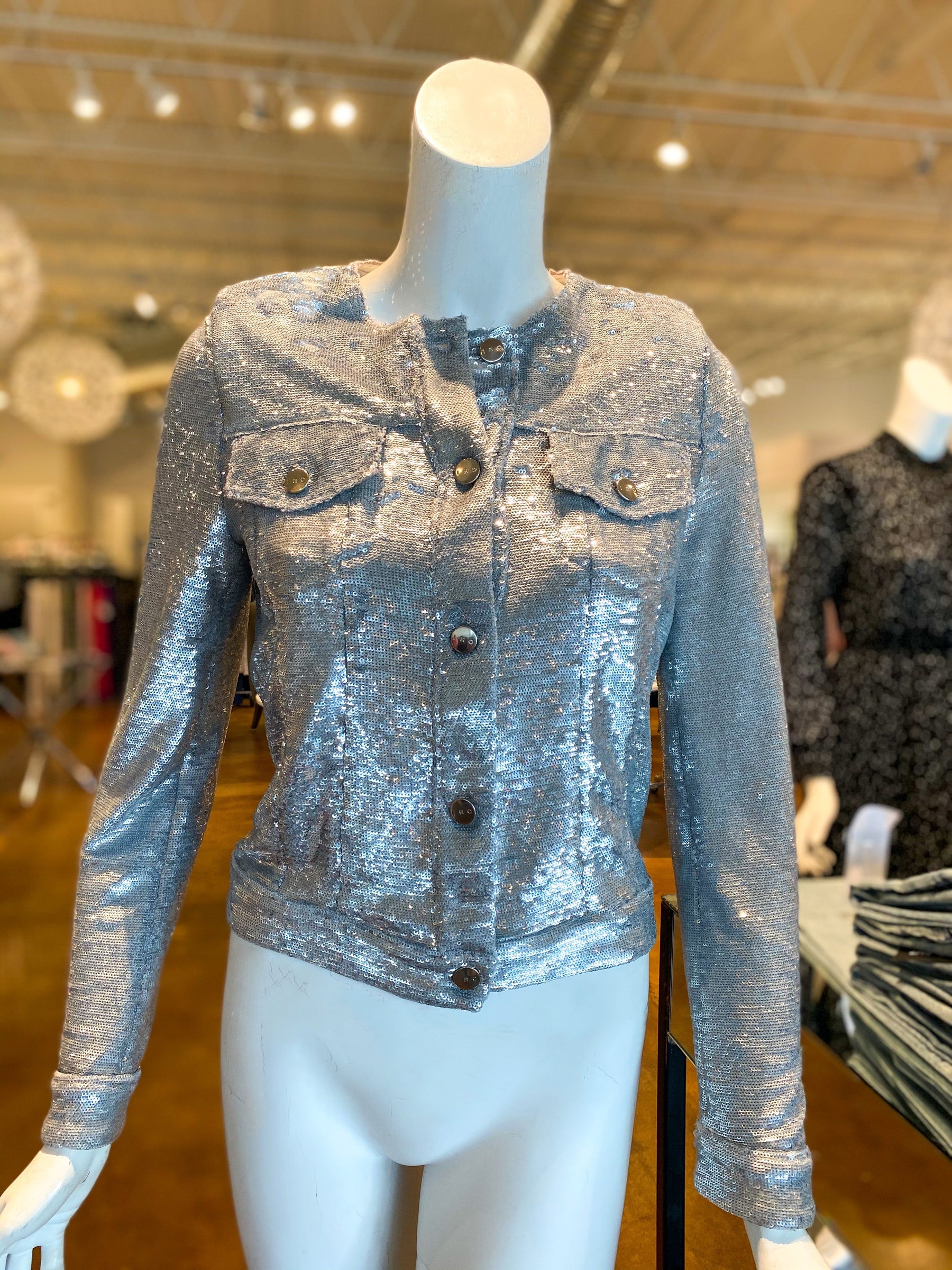 IRO Dalome Sequin Jacket Silver