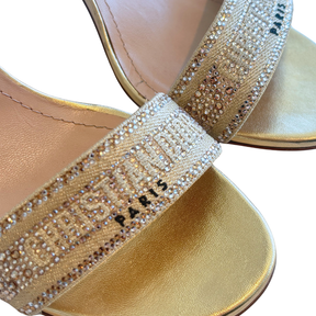 Christian Dior Dway Embellished High Heel