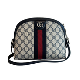Front of Gucci Ophidia Monogram Dome Bag on a White Background. 