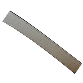 Inside of Belt with Details