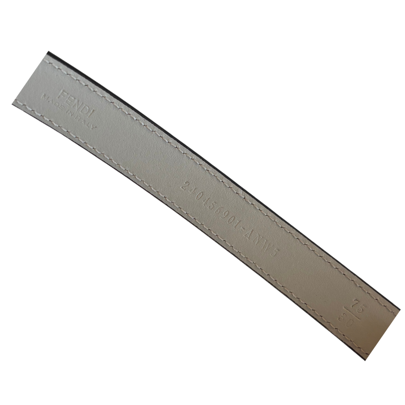 Inside of Belt with Details