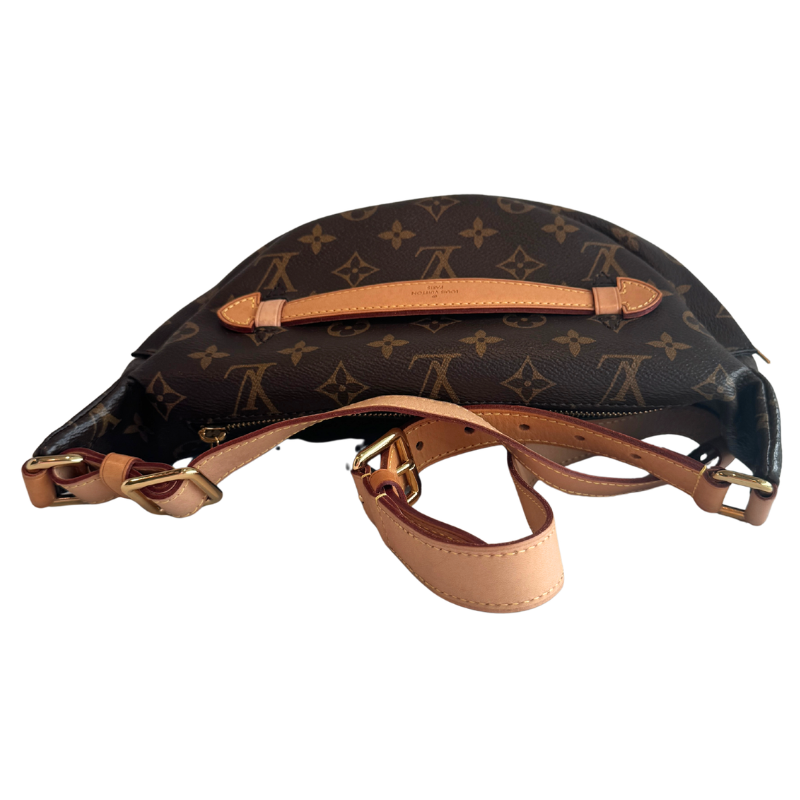 Louis Vuitton Monogram Bum Bag