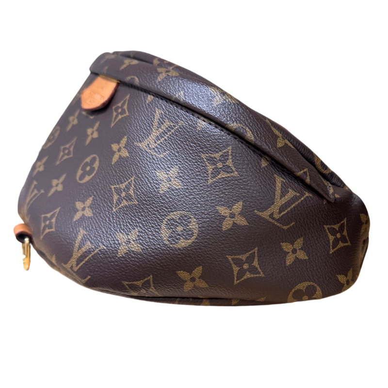 Louis Vuitton Monogram Bum Bag