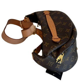 Louis Vuitton Monogram Bum Bag