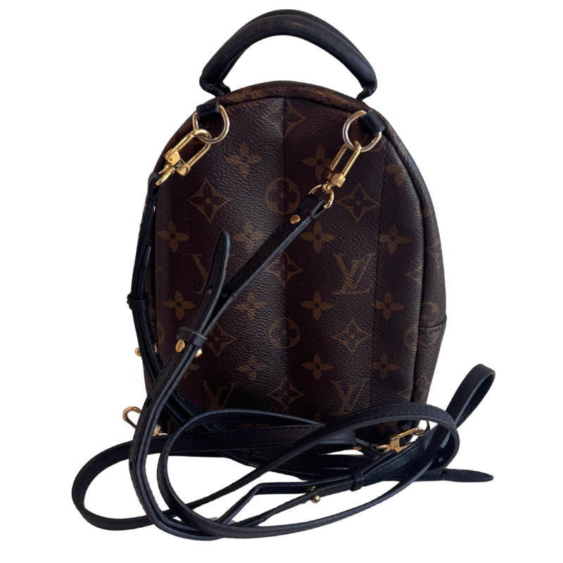 Louis Vuitton Mini Palm Springs Backpack