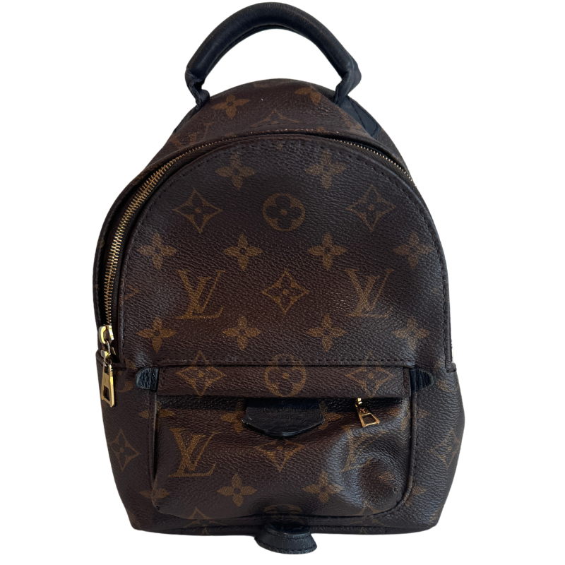 Louis Vuitton Mini Palm Springs Backpack