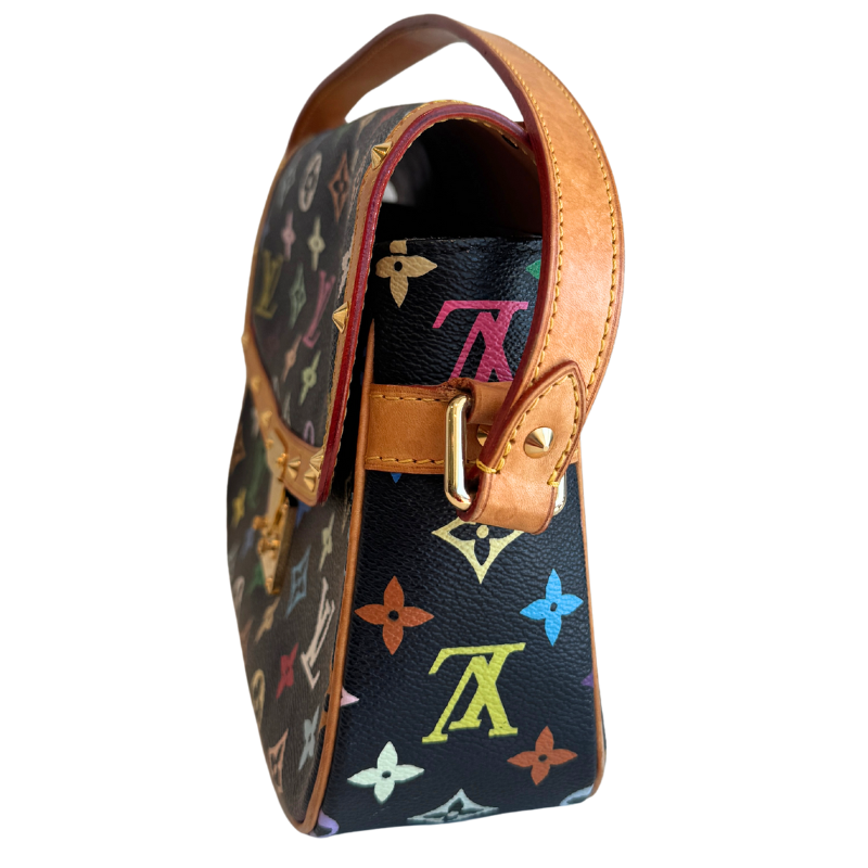 Louis Vuitton Multicolor Monogram Sologne