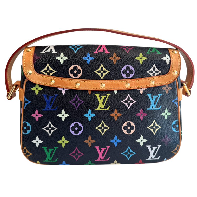 Louis Vuitton Multicolor Monogram Sologne