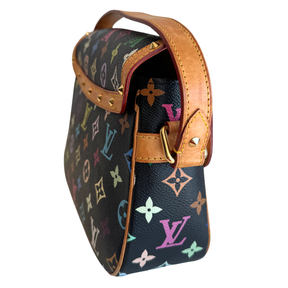 Louis Vuitton Multicolor Monogram Sologne