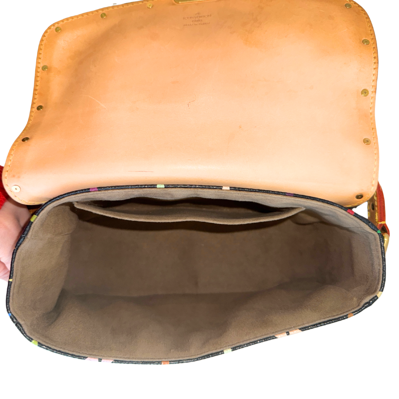 Louis Vuitton Multicolor Monogram Sologne