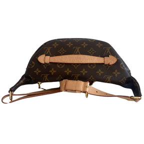 Louis Vuitton Monogram Bum Bag Top