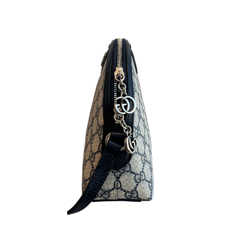 Right Side of Gucci Ophidia Monogram Dome Bag on a White Background. 