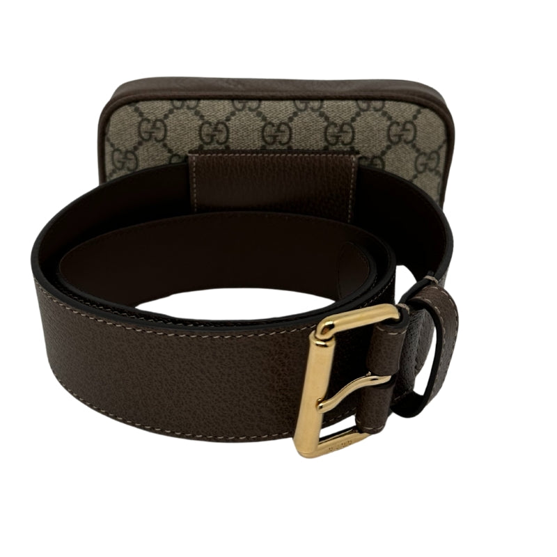 Gucci Ophidia Belt Bag back