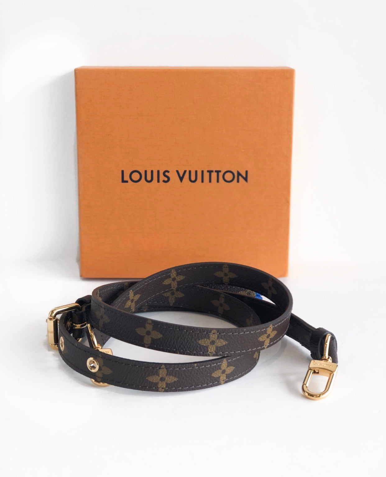 Louis Vuitton Pochette Metise Strap