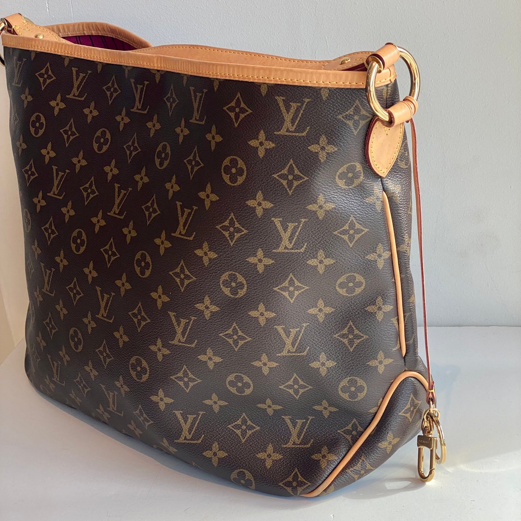 Louis Vuitton Delightful Hobo MM Bag Side Polished Brass Hardware Leather Trim